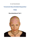 Yamamoto Neue Schädelakupunktur (Arbeitsbuch Teil 1, Deutsch)